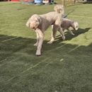 The Four Legged Inn - Pet Boarding & Kennels