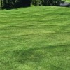 Turf Masters Lawn Service gallery