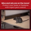 Proper Pest Management gallery
