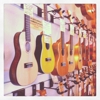 Ukulele Pua Pua gallery