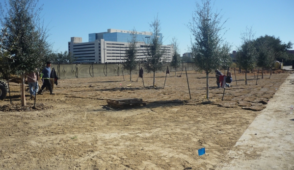 Adi Landscaping & Tree Service - Houston, TX