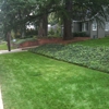 Health Turf Management Lawncare gallery