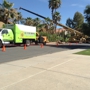 l Year Round Tree Service