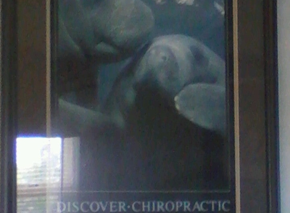 Kitching Chiropractic - Statesboro, GA