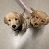 Nicholasville Road Animal Hospital gallery