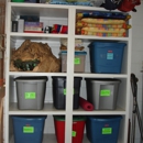 Sue's Organizing Solutions - Organizing Services-Household & Business