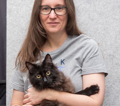 Black Cat Accounting Pty Ltd