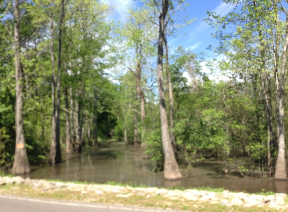 Tickfaw State Park - Springfield, LA