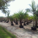 Medallion Trees Farms - Nurseries-Plants & Trees