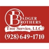 Badger Brothers Tree Service. gallery