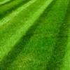 Naturalgreen Lawn Care LLC gallery