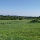 CedarSprings, LLC - Horse Boarding