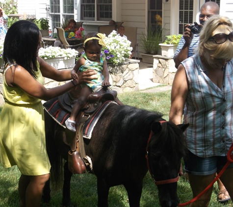 About Town Pony Rides - Indian Trail, NC