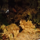 Fishmonger Restaurant