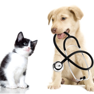 Broadview Animal Hospital - Broadview, IL