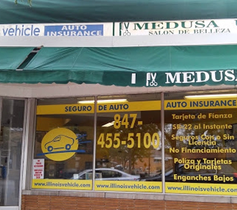 Illinois Vehicle Auto Insurance - Franklin Park, IL