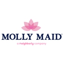 Molly Maid of Norcross, Lawrenceville, and Lilburn - CLOSED - House Cleaning
