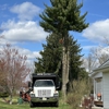 HTS Tree Care gallery