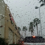Photo #11