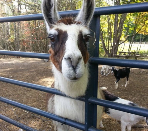 Backwoods Farm - Rumney, NH