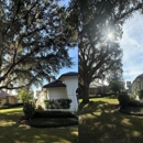 Sacred Tree Service - Tree Service