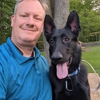 Premier Pack Dog Training and Behavior Solutions gallery