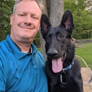 Premier Pack Dog Training and Behavior Solutions - Dog Training