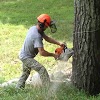 Suffern Tree Service, Inc gallery