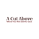 A Cut Above