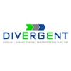 Divergent Elite Detailing | Window Tint - Paint Protection Film - Ceramic Coating Specialists gallery