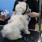 Pet Wash & Grooming Eastgate