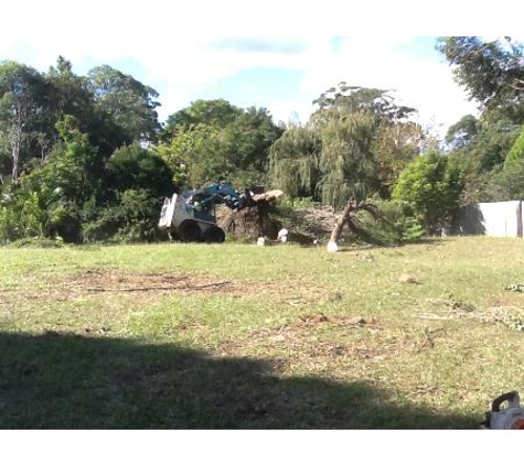 All Coast Tree Services - West Wollongong, NSW