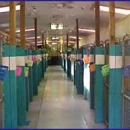 Camp Paradise Pet Resort - Kennels