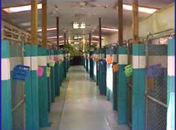 Camp Paradise Pet Resort - Conyers, GA. The runs at Camp Paradise Pet Resort include both and inside and outside run.