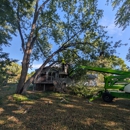 Trees by Forrest | Tree Removal Company in Plymouth, MN