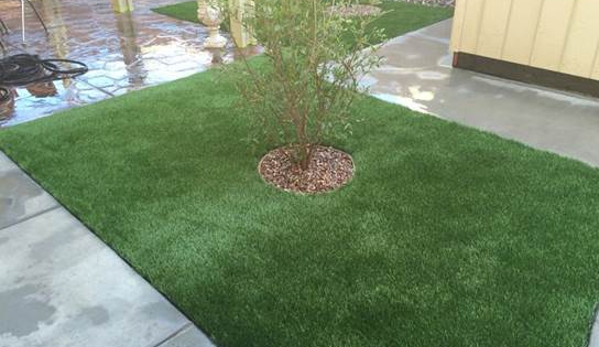 Power Lawn Maintenance - Las Vegas, NV