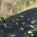 Los Gatos Creek County Park - Parks