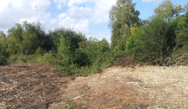 GHR Tractor Mowing & Land Clearing - Jersey Village, TX