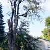 Heights Tree Service gallery