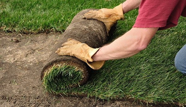 Delea Sod Farms - East Northport, NY