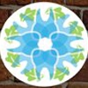Novi Oaks Dental gallery