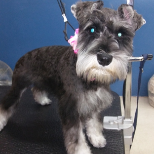 VIP Grooming - Lancaster, CA. Miss zoey