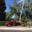 McMillan Tree Services