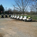 Way To Go Golf Carts - Golf Cars & Carts