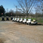 Way To Go Golf Carts