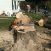 Artisan Arborist Tree Care gallery