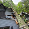 Whits End Tree Care gallery