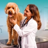 NewDay Veterinary Care Birmingham gallery