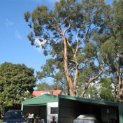 Gallery Image Number 2