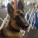 Hunterdon K-9 Center - Dog Training